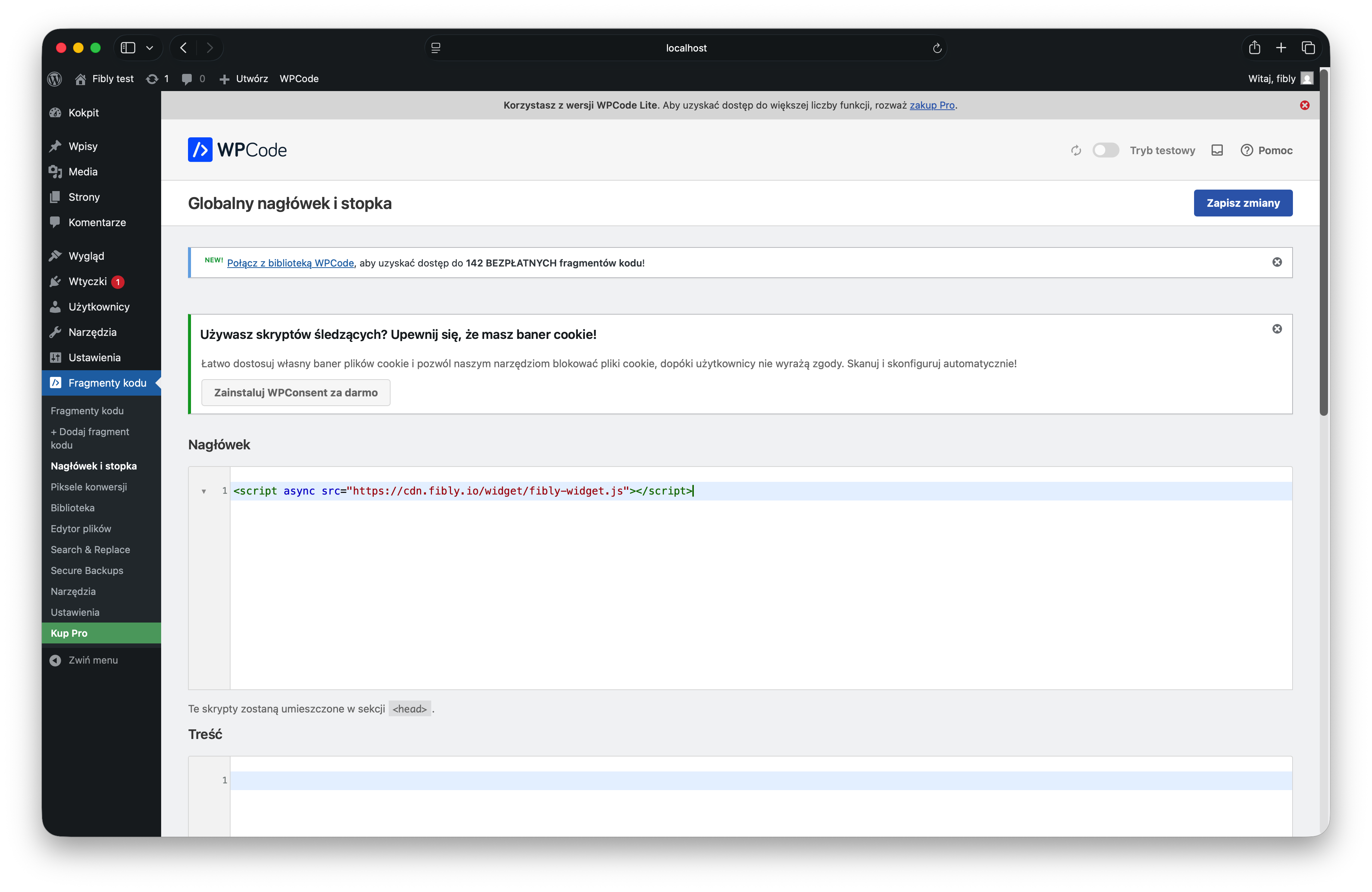 Konfiguracja wtyczki WPCode w wordpress